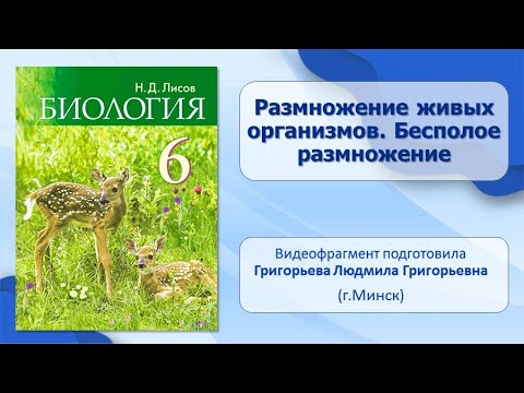 Тема 18. Размножение живых организмов. Бесполое размножение