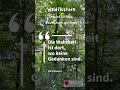 #Waldflüstern 20 – Impulse für Herz, Bewusstsein und Seele