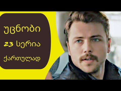 უცნობი 23 სერია ქართულად