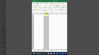 Excel cell ကွက်များတွင် ပေါ်စေချင်သောစာသားကို မူသေထားနည်း