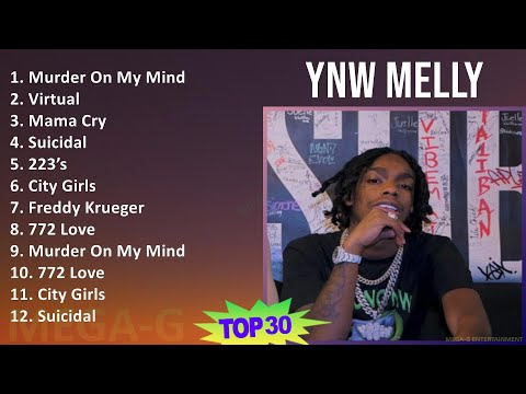 Ynw Melly 2024 Mix Playlist - Murder On My Mind, Virtual, Mama Cry, Suicidal