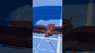 Why You Should Never Step On A Cockroach