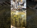 Color and scale details of the smallmouth bass.