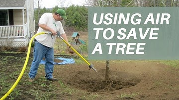 How to use air to save a tree | Catherine Arensberg with Chris Francis