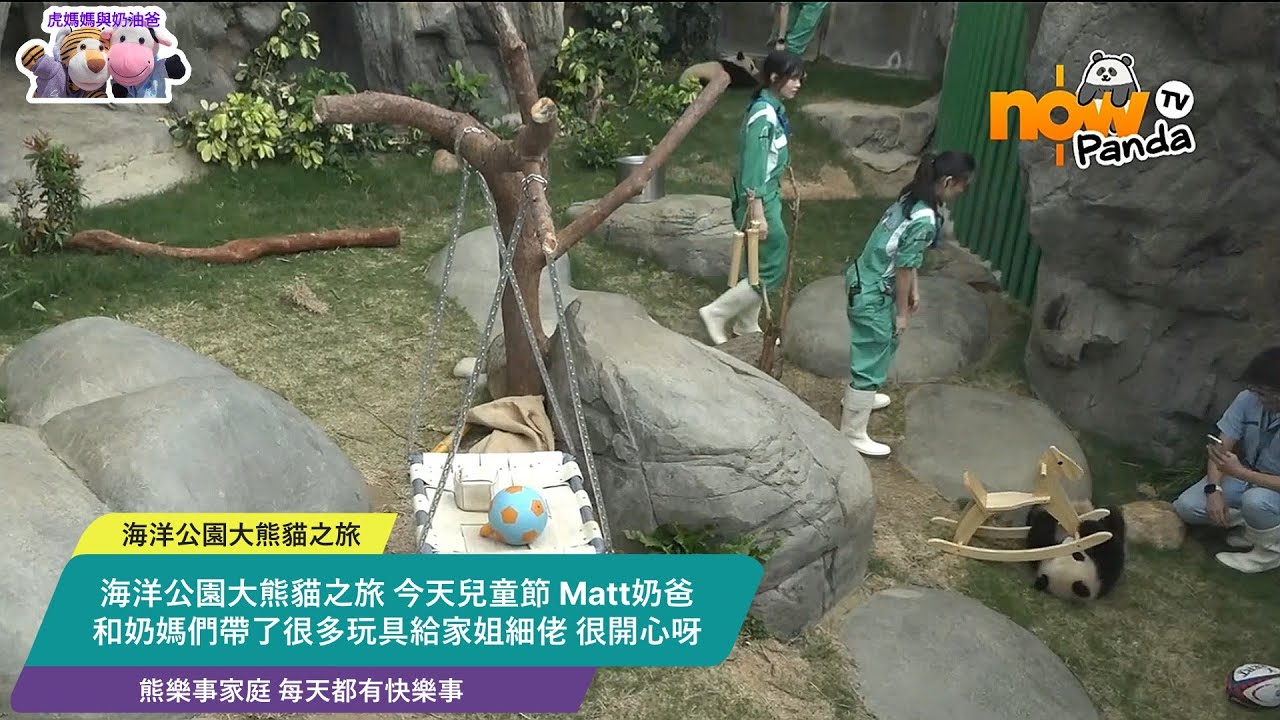 海洋公園大熊貓之旅 今日兒童節 Matt奶爸和奶媽們帶了很多玩具給家姐細佬很開心呀 #海洋公園 #oceanpark #香港大熊貓 #giantpanda #판다 #家姐細佬