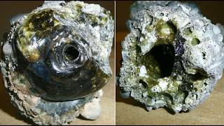 15 Rocks That Act Alive - Moving, Growing & Breathing Stones Explained