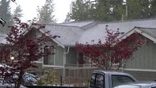 Raining Hard in Bellingham