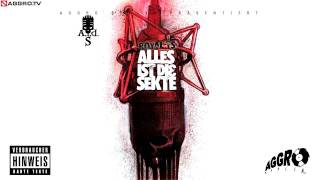 ROYAL TS (SIDO & B-TIGHT) SO HIGH TEIL 2 - ALLES IST DIE SEKTE - ALBUM - TRACK 18