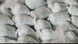 Valley police seize $9 million worth of fentanyl pills Wealth