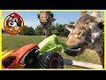 Monster Jam Toy Trucks - El Toro Loco & Gas Monkey Play at the Park, Go to the Zoo & Feed Giraffes!
