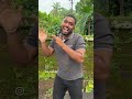 Https Www Instagram Com Reel DMAdGpFS3wU Igsh MTRvbjFiczJ6ODY4 Https Www Instagram Com Reel DMAdGpFS3wU Igsh MTRvbjFiczJ6ODY4