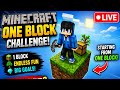 Minecraft One Block Survival live 🔴 #live #minecraft