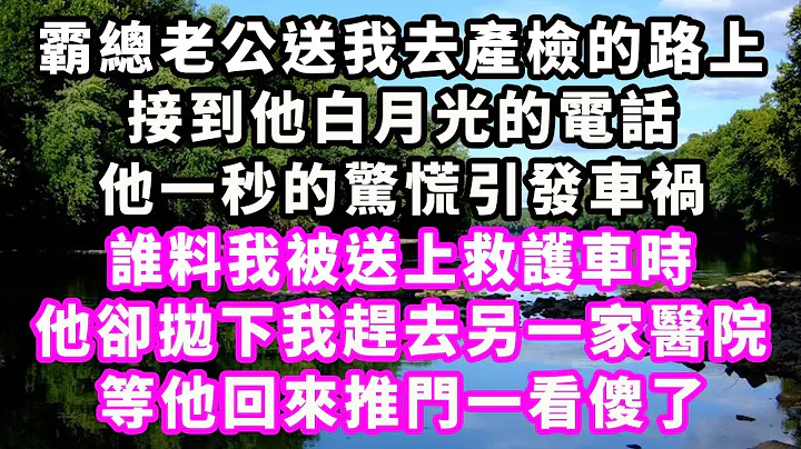 霸总老公送我去产检的路上，接到他白月光的电话，他一秒的惊慌引发车祸，谁料我被送上救护车时，他却抛下我赶去另一家医院，等他回来推门一看傻了#情感秘密 #情感 #出轨#小三#家庭#豪门#霸总 - 天天要闻