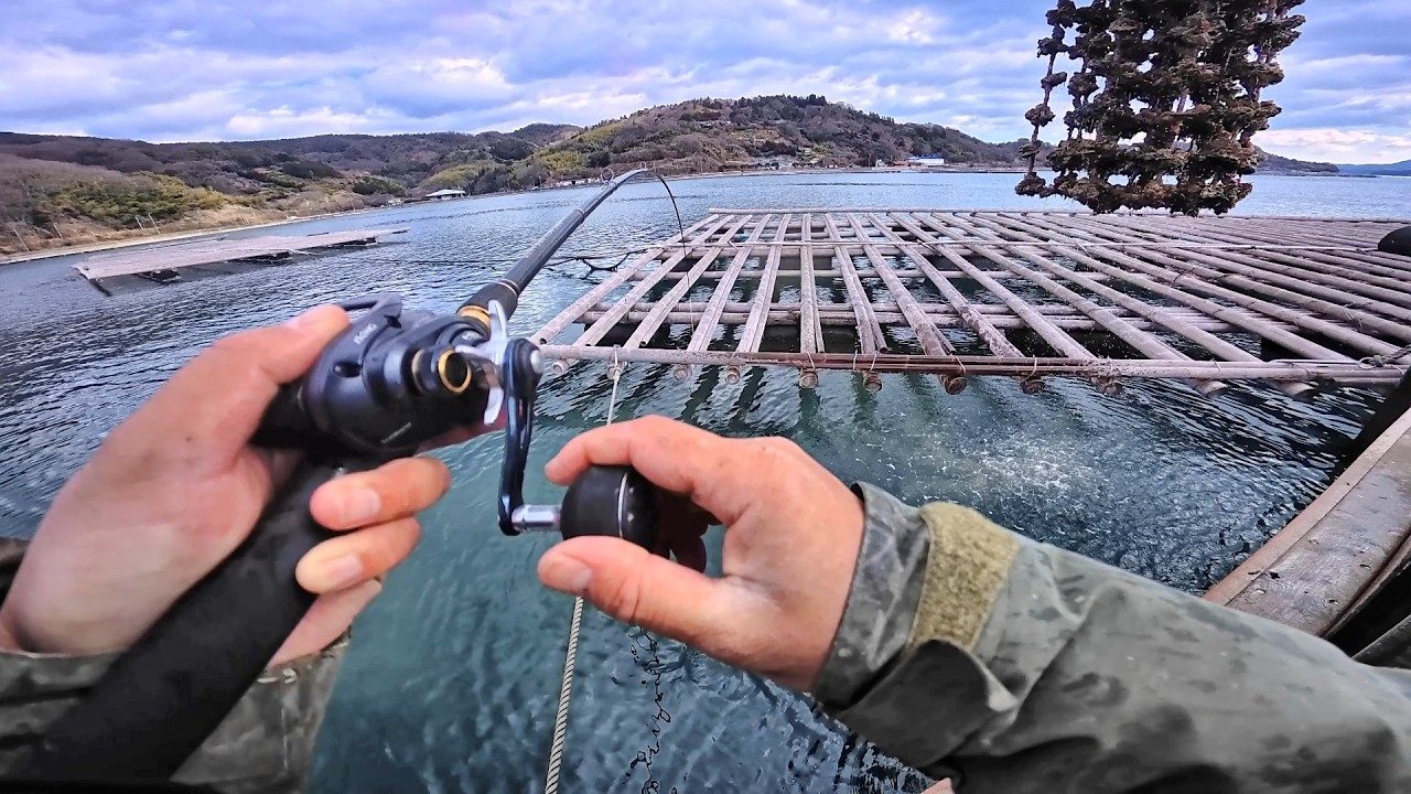 やっぱり「牡蠣のおこぼれ」は最強？作業船の横でかぶせ釣りをした結果...