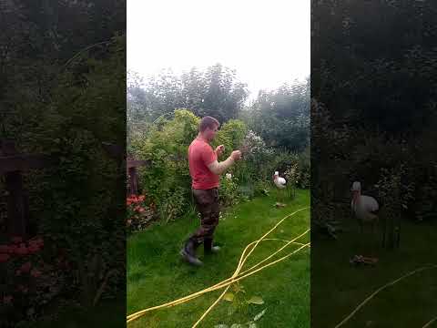 поиск воды для