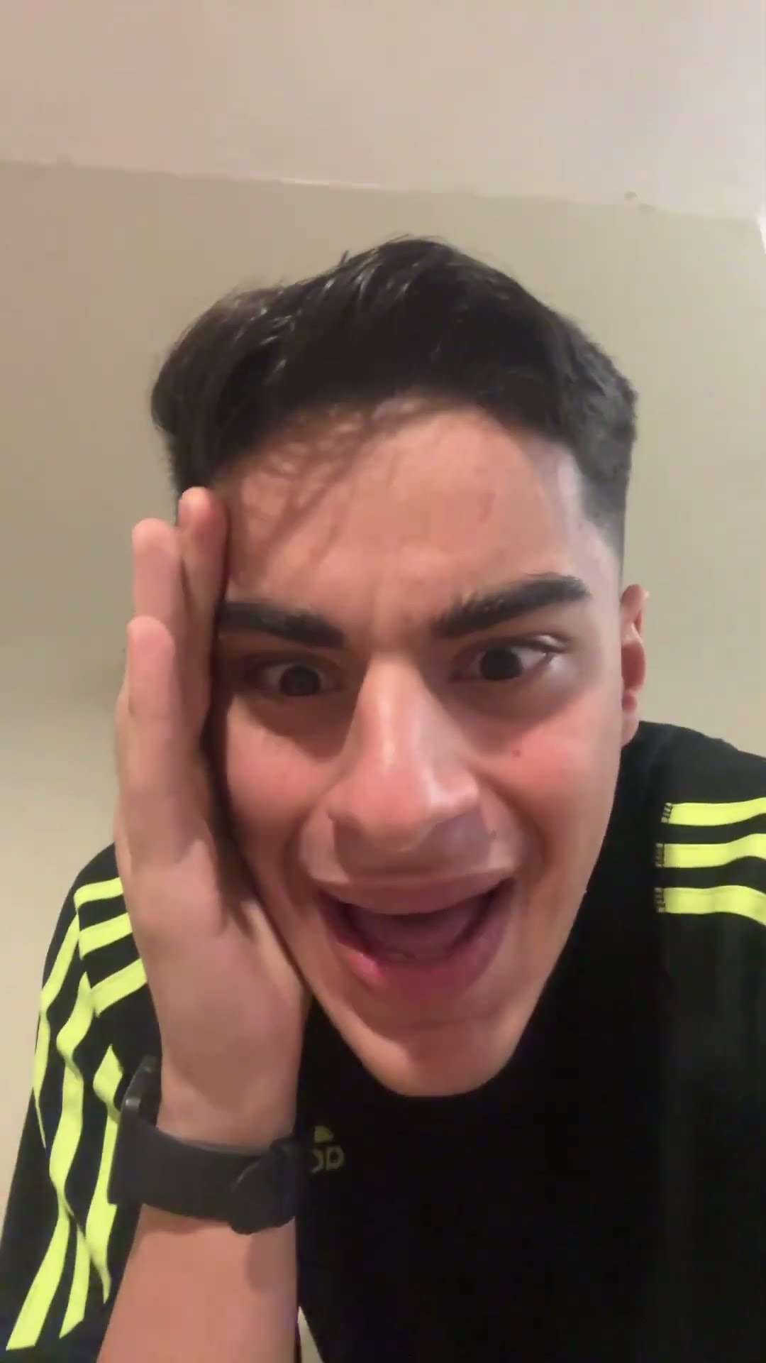 QUE ESTÁ HACIENDO MI PERRO???