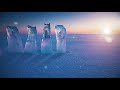 BLACK GUAYABA - FRIO (LYRIC VIDEO)