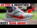 AFTER Wearing 8 Months: Best $100 SNEAKERS You Can Buy! Nike Pegasus Turbo w Zoom X / React