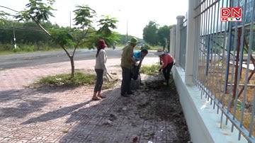 Đồng Nai có thêm 3 xã đạt nông thôn mới kiểu mẫu