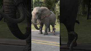 How Elephant Die Of A Snake Bite?