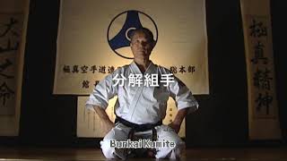 Yantsu kata. + бункай. Объясняет Сихан Окадзаки.