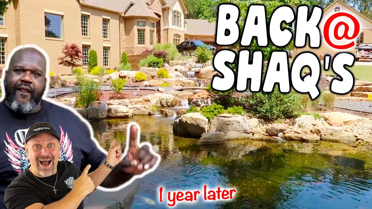 I'M Back At Shaq'S!! - 1 Year Later