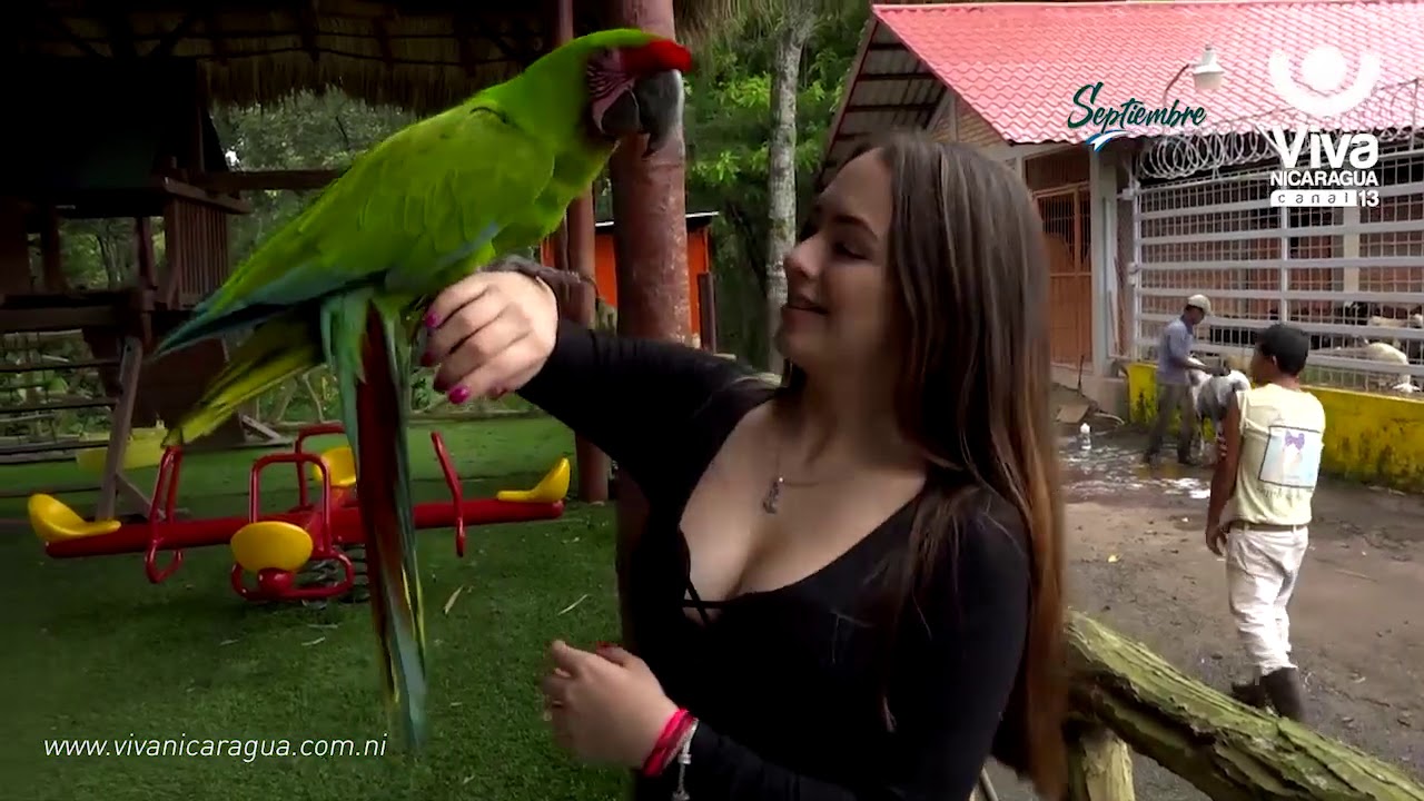Hotel Escuela Laguna San Martín te atrapará con su espectacular parque acuático