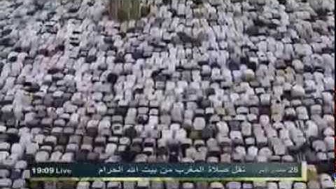 ماهر المعيقلي خشوع سورة الفجر