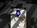 ШіЩ Ш Ш ЩЉ Ш Щ ШіШ ЩЉ Щ Щ ЩЃШ ЩЉЩ Щ Ш ШЄ рџ ЎпёЏ ШіЩ Ш Ш ЩЉ Ш Щ ШіШ ЩЉ Щ Щ ЩЃШ ЩЉЩ Щ Ш ШЄ рџ ЎпёЏ