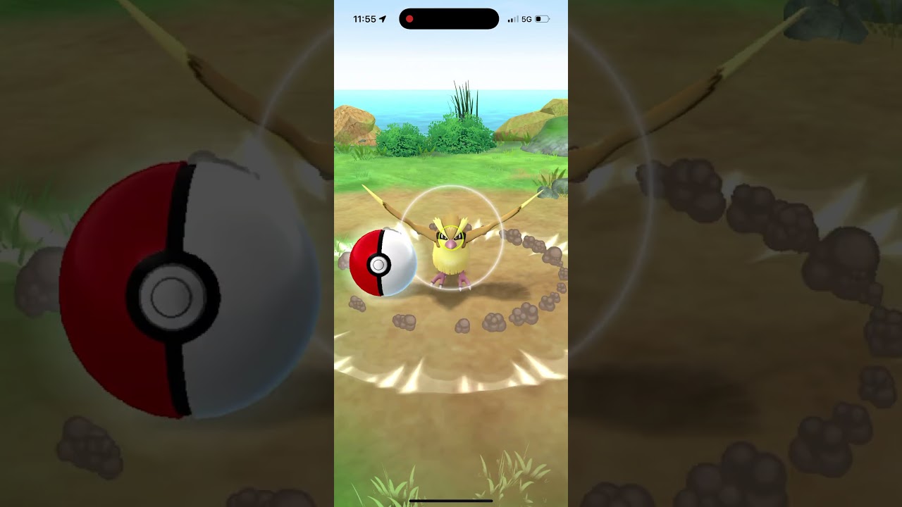 HUNDO ANORITH. 19.02.2025.