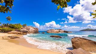 Tropical Heaven: 6 Hours of Ambience from Seychelles 4K UHD screenshot 5