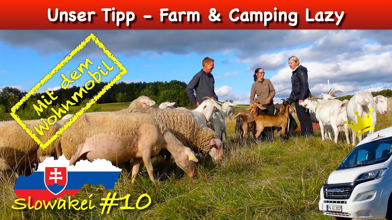 Slowakei #10: Farm & Camping Lazy - Unser schönster Campingplatz