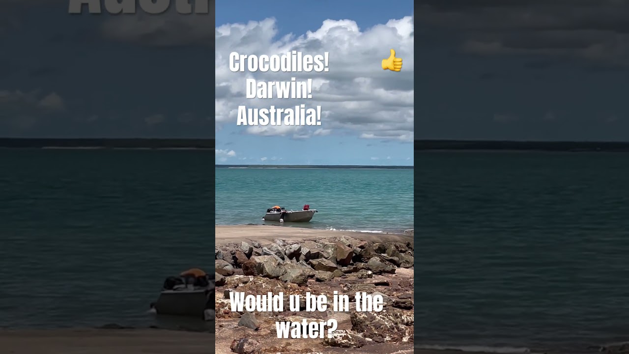 🐊 Crocs Darwin Australia