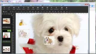 Free Digital Catalog Software for Amazing Mobile Experience screenshot 3