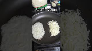 Vegan Cheese Vs Fake Rubber Cheese Test
