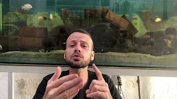 O que acontece com a temperatura corporal do peixe quando a temperatura da água sofre alterações?