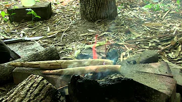 What is the good benefits of bamboo shoots?