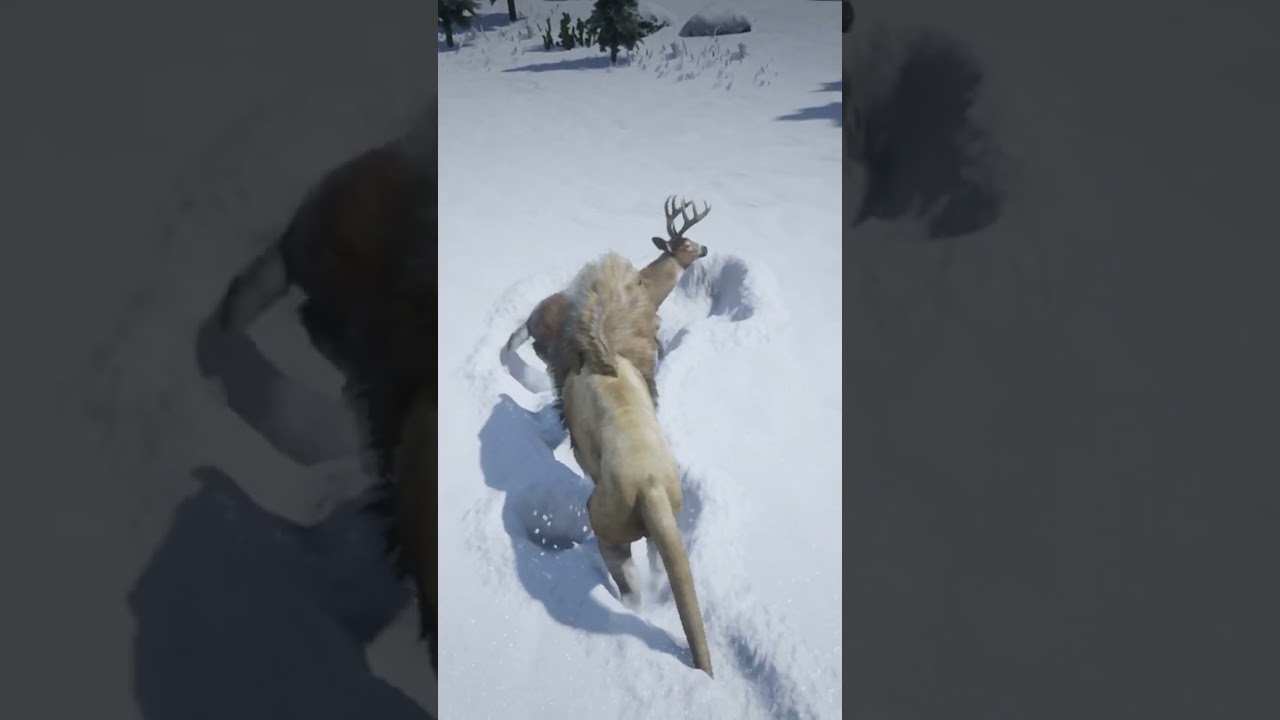 Experts in survival in the wild world | p954 , 