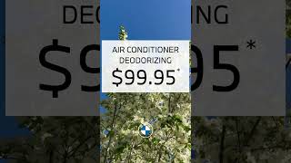 Spring Service Specials | Performance BMW