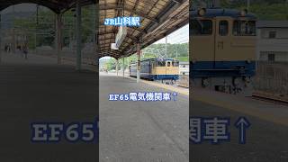 JR山科駅に到着するEF65電気機関車とそれを撮影しようと全力疾走する鉄道ファン　#ef65 #電気機関車 #鉄道ファン