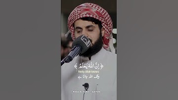 Raad Al kurdi Whatsapp status with Urdu English translation|رعد الكردي حالات واتس اب|سورة الحجرات