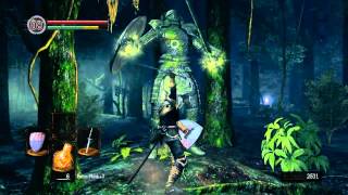 Dark Souls Pc Part 9 - Elite Wolf Moss