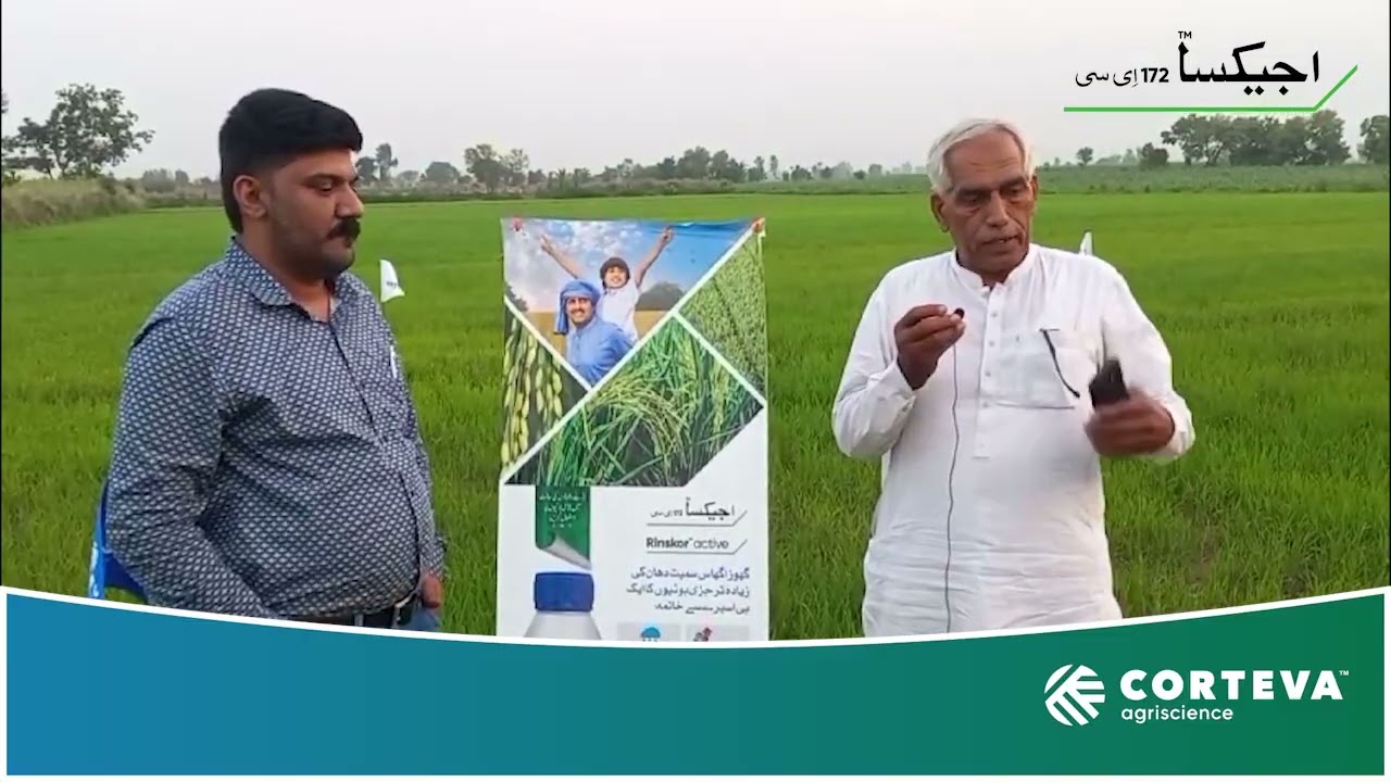Seeing is Believing | Agixa | Top Performance in Rice Weed Management