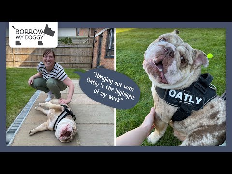 I borrow dogs because I miss having them in my life | Take the Lead #9