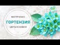 МК &quot;Гортензия&quot;