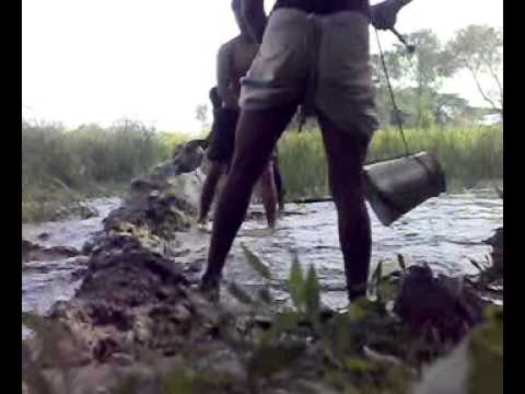 catching fish in bangladesh 