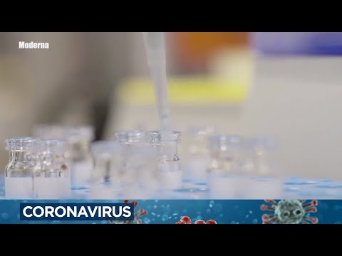 Who will get the COVID-19 vaccine first? Doctors weigh in