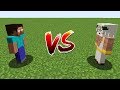 Minecraft battle noob vs pro herobrine vs god challenge  animation