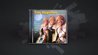 Video thumbnail of "Trio Virgulino - Noites brasileiras (Forró de todos os tempos)"