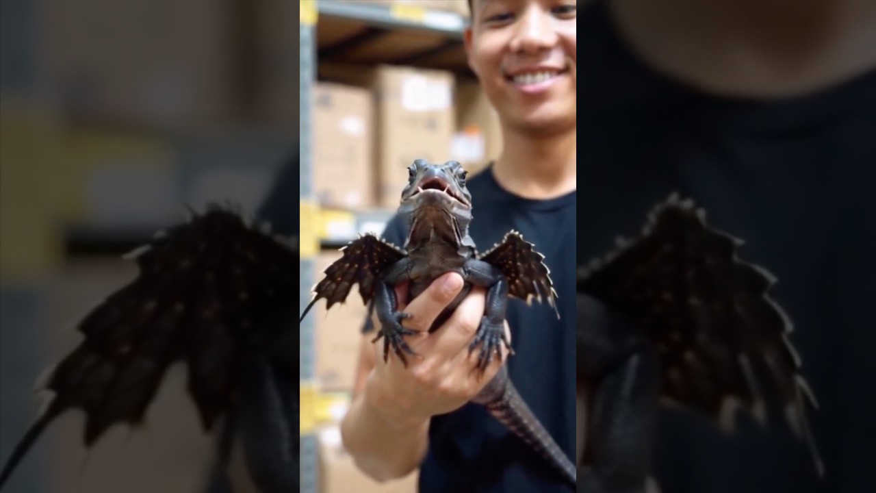 Turn Text into Animal Videos with AI & Earn Money! 🐾💸 